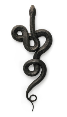 serpent (2)
